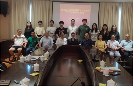 W020230731018158776129.png image.png